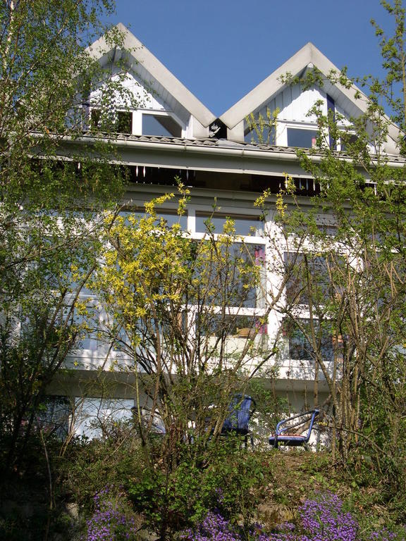 Gesundheitshotel Haus Sonnenstein Salem  Dış mekan fotoğraf